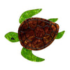 Michelle Sea Turtle Brooch
