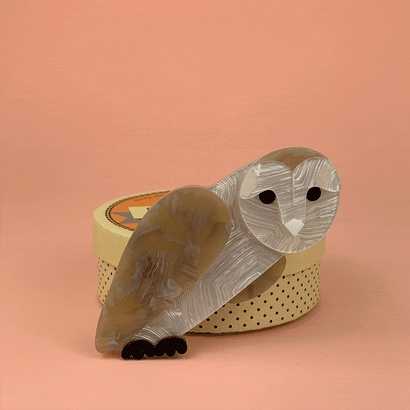 Erstwilder Miah Masked Owl Brooch BH5375-9092