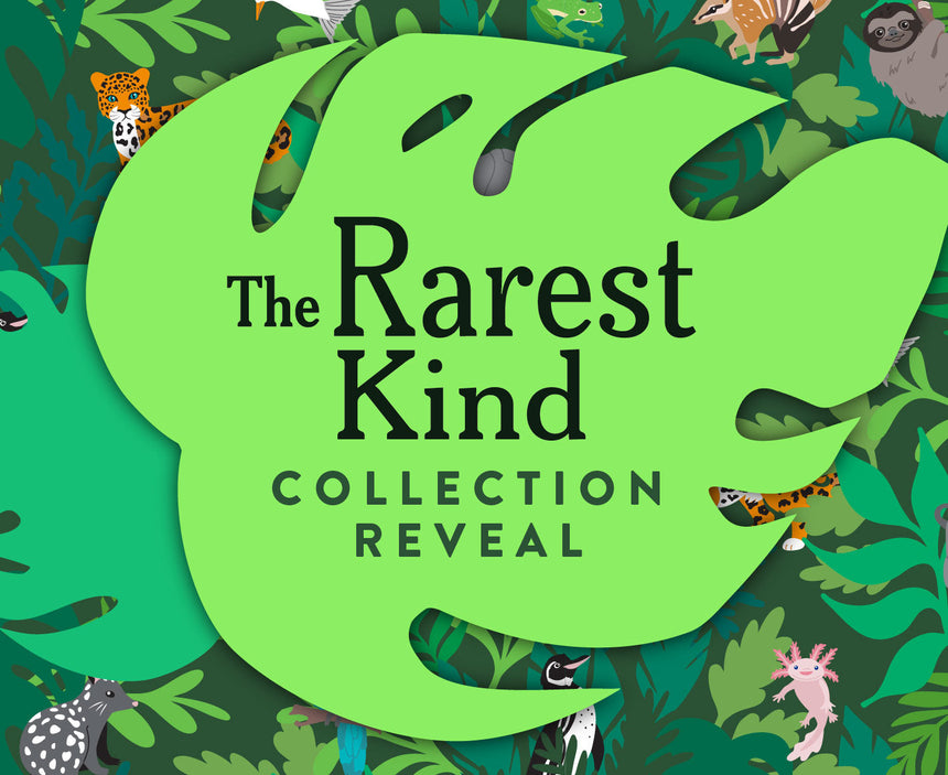 The Rarest Kind Collection Reveal