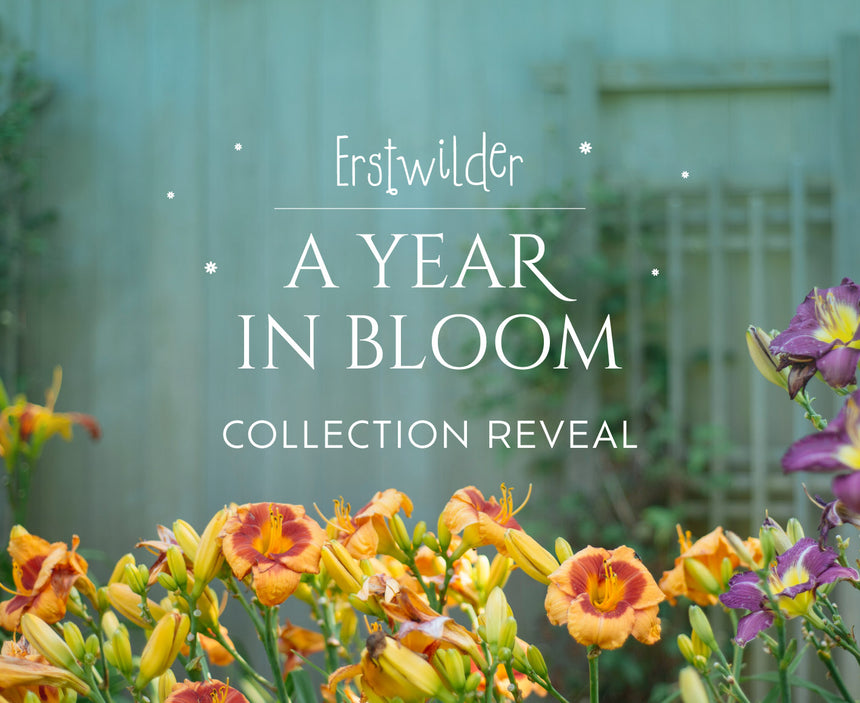 A Year in Bloom Collection Reveal