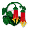 Common Correa Brooch