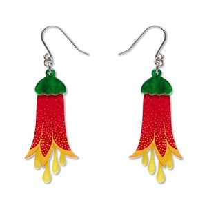Common Correa Drop Earrings  -  Erstwilder  -  Quirky Resin and Enamel Accessories