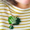 Herbarium Bundle Brooch  -  Erstwilder  -  Quirky Resin and Enamel Accessories