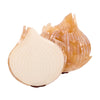 Onion Layers Brooch  -  Erstwilder  -  Quirky Resin and Enamel Accessories
