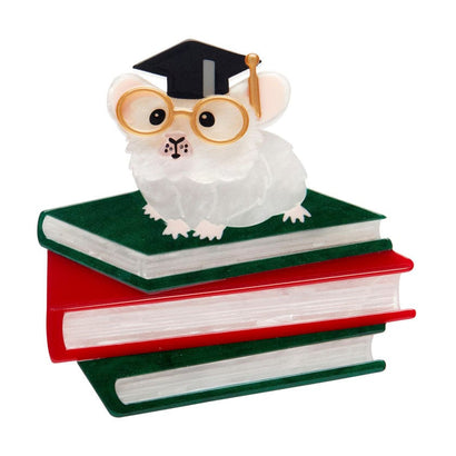 The Valedictorian Mouse Brooch  -  Erstwilder  -  Quirky Resin and Enamel Accessories