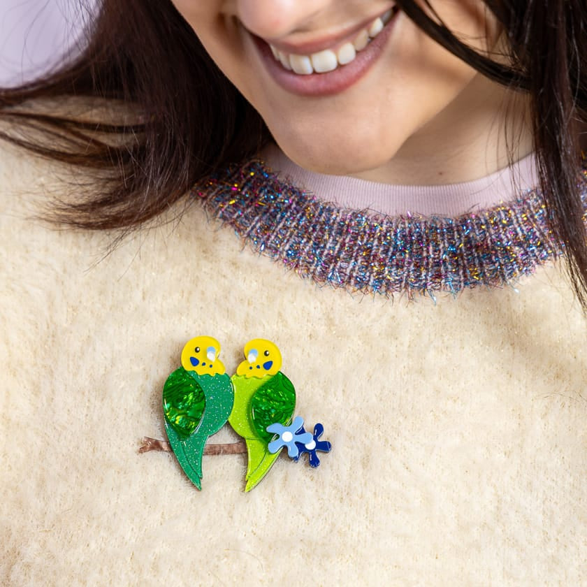 Best Budgies Brooch  -  Erstwilder  -  Quirky Resin and Enamel Accessories