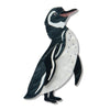Galapagos Penguin Brooch