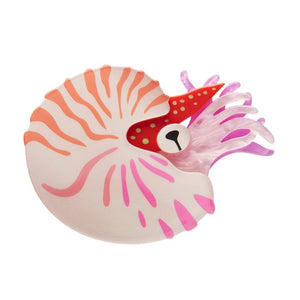 Chambered Nautilus Brooch  -  Erstwilder  -  Quirky Resin and Enamel Accessories