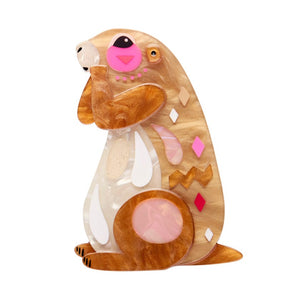 The Prudent Prairie Dog Brooch  -  Erstwilder  -  Quirky Resin and Enamel Accessories
