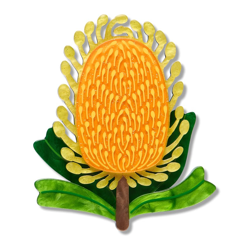 Mountain Banksia Brooch  -  Erstwilder  -  Quirky Resin and Enamel Accessories