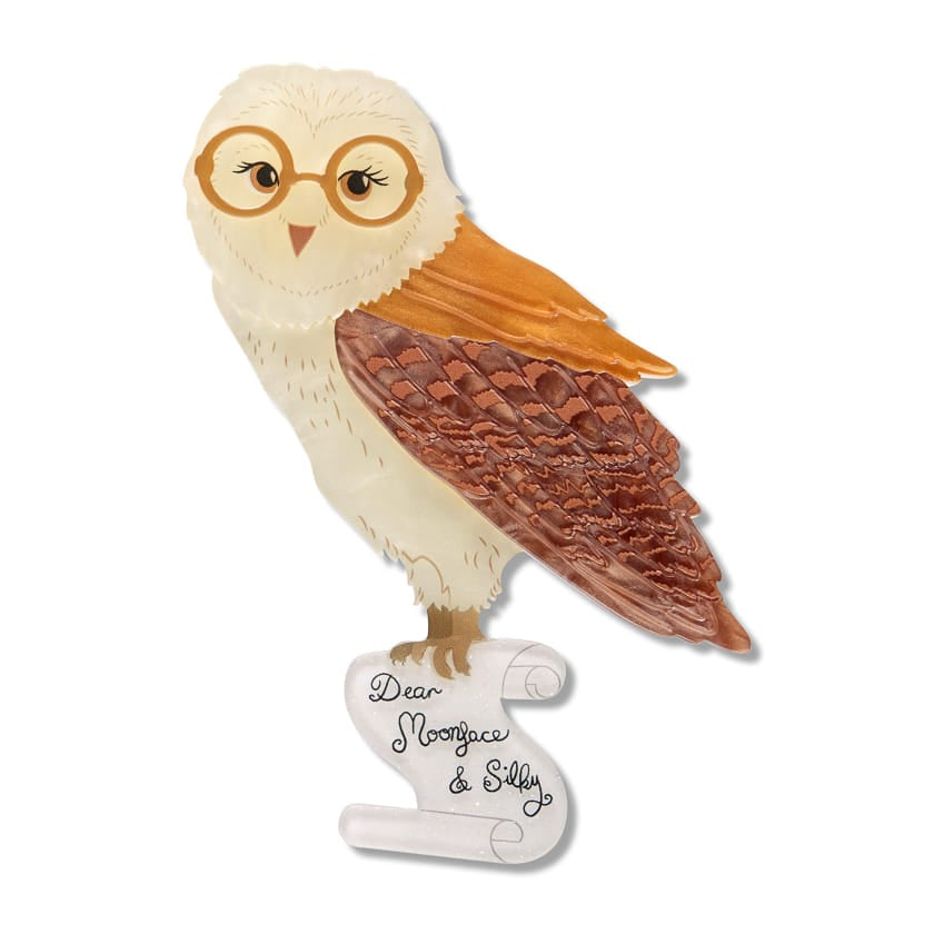 Barny Owl Brooch  -  Erstwilder  -  Quirky Resin and Enamel Accessories