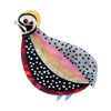 The Mysterious Montezuma Quail Brooch  -  Erstwilder  -  Quirky Resin and Enamel Accessories