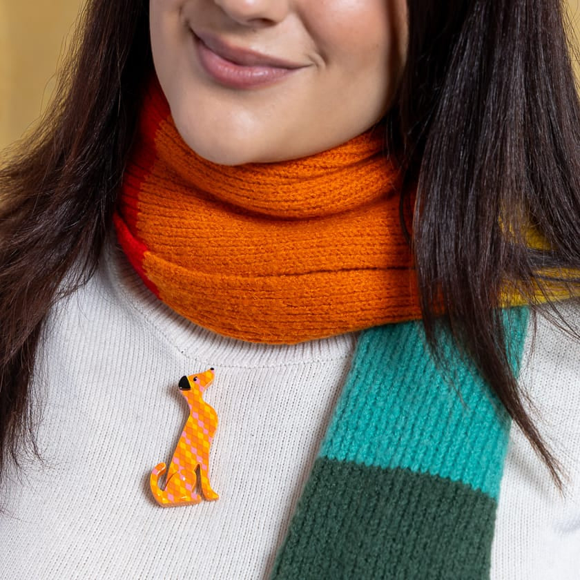 Alphonse in the Window Brooch  -  Erstwilder  -  Quirky Resin and Enamel Accessories