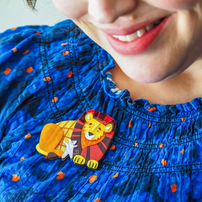 Unlikely Associates Brooch  -  Erstwilder  -  Quirky Resin and Enamel Accessories