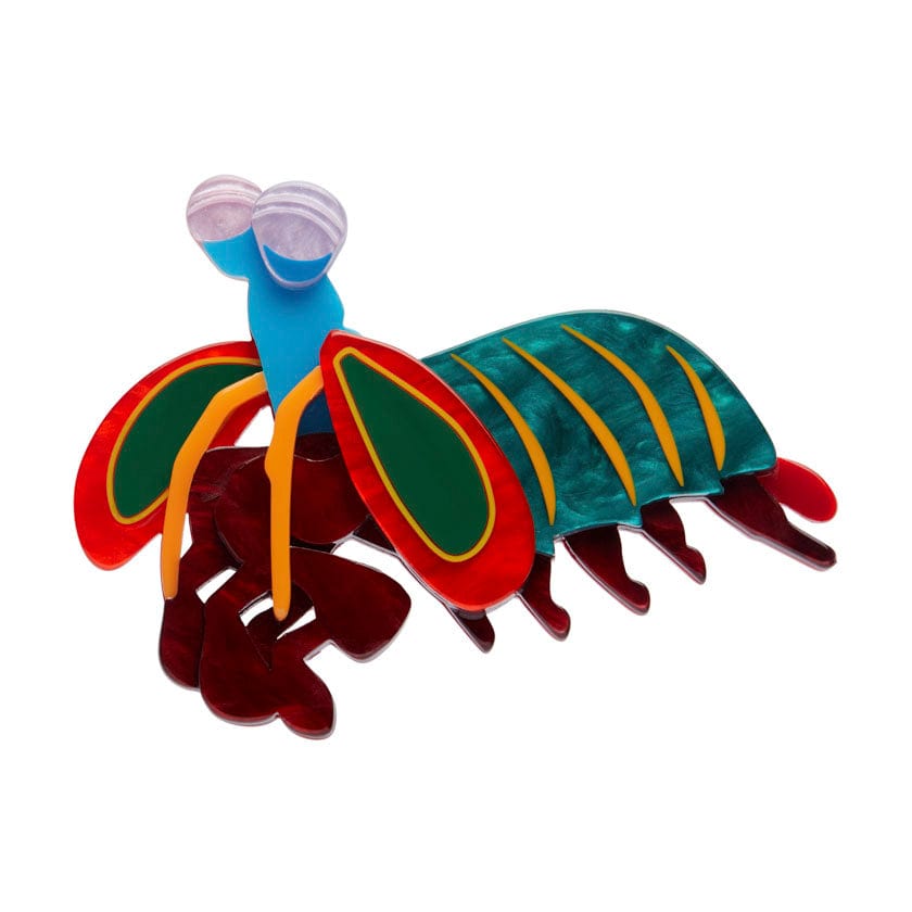 Peacock Mantis Shrimp Brooch  -  Erstwilder  -  Quirky Resin and Enamel Accessories