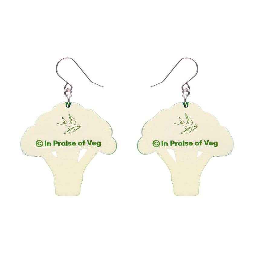 Brocc Star Drop Earrings  -  Erstwilder  -  Quirky Resin and Enamel Accessories