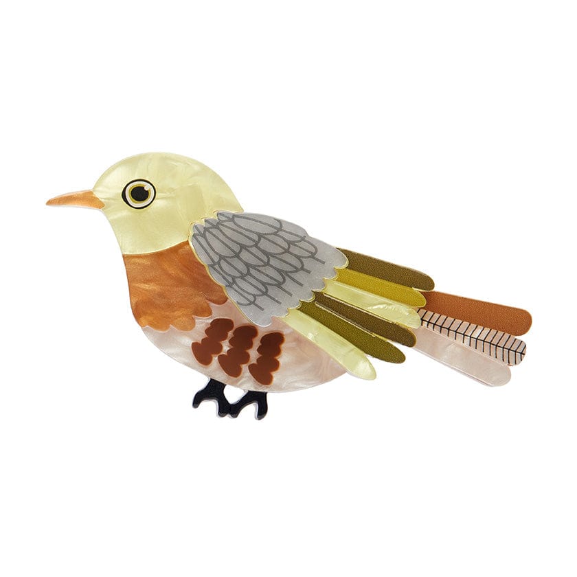Treasured Tauhou Brooch (IMPERFECT)  -  Erstwilder  -  Quirky Resin and Enamel Accessories