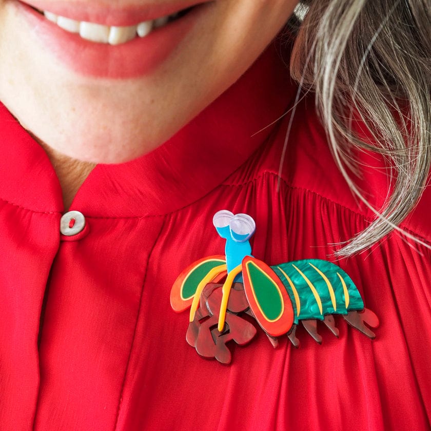 Peacock Mantis Shrimp Brooch  -  Erstwilder  -  Quirky Resin and Enamel Accessories