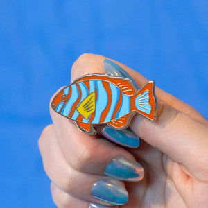 Harlequin Tuskfish Enamel Pin  -  Erstwilder  -  Quirky Resin and Enamel Accessories
