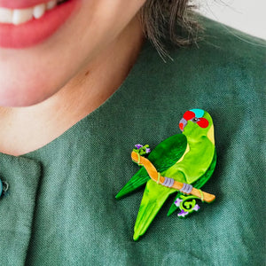 Musk Lorikeet Brooch  -  Erstwilder  -  Quirky Resin and Enamel Accessories