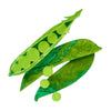 Peas Please Brooch  -  Erstwilder  -  Quirky Resin and Enamel Accessories