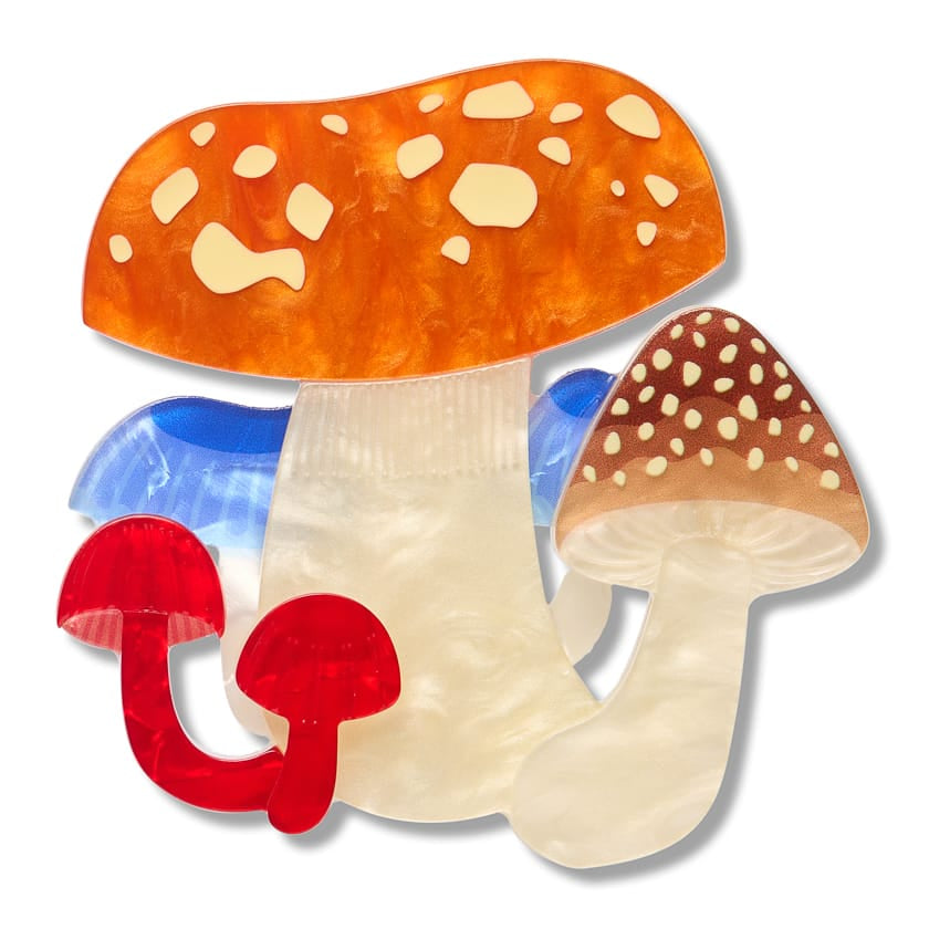 Native Mushroom Medley Brooch  -  Erstwilder  -  Quirky Resin and Enamel Accessories