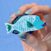Maori Wrasse Brooch