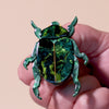 Nature's Noel Brooch