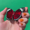 Wings Laced in Red Brooch