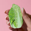 Cabbage Patch Brooch