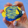 Emperor Angelfish Brooch