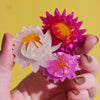 Strawflowers Brooch