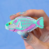 Bleeker's Parrotfish Brooch