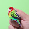 Eastern Rosella Brooch