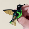 Dusky Starfrontlet Brooch