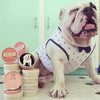 Erstwilder Taciturn Taco Dog Brooch BH6218-8092