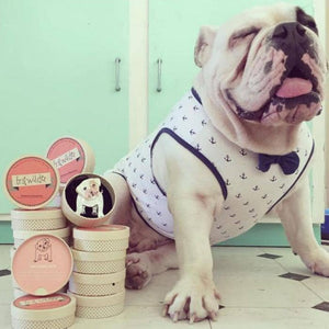 Erstwilder Taciturn Taco Dog Brooch BH6218-8092