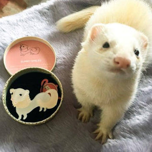 Erstwilder Sunny Smiles Ferret Brooch BH6219-8000