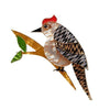 Tori Tree Drummer Bird Brooch