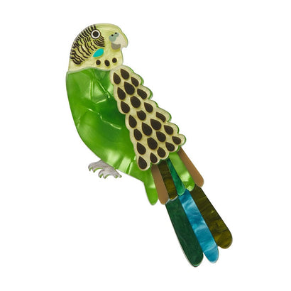 Erstwilder Flossie the Budgie Brooch AR1BH16