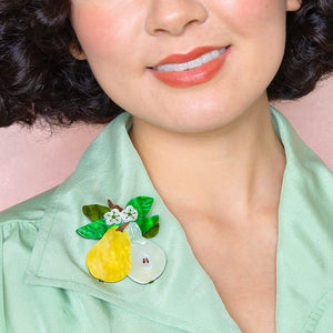 Compare the Pear Brooch  -  Erstwilder  -  Quirky Resin and Enamel Accessories