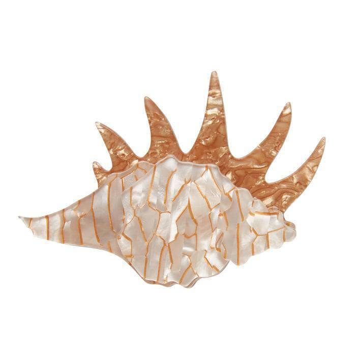 Erstwilder Mobile Home Shell Brooch BH6642-8492