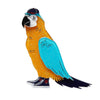 Corey the Macaw Brooch