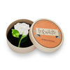 Erstwilder Budding Romance Rose Brooch BH6792-8040