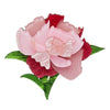 Erstwilder My Little Peony Brooch BH6798-2040