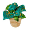 Show Me the Money Plant Brooch