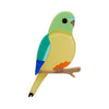 Radiant Rambler Parrot Brooch