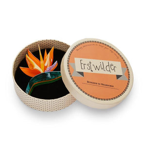 Erstwilder Birds of a Feather Brooch BH6921-6140