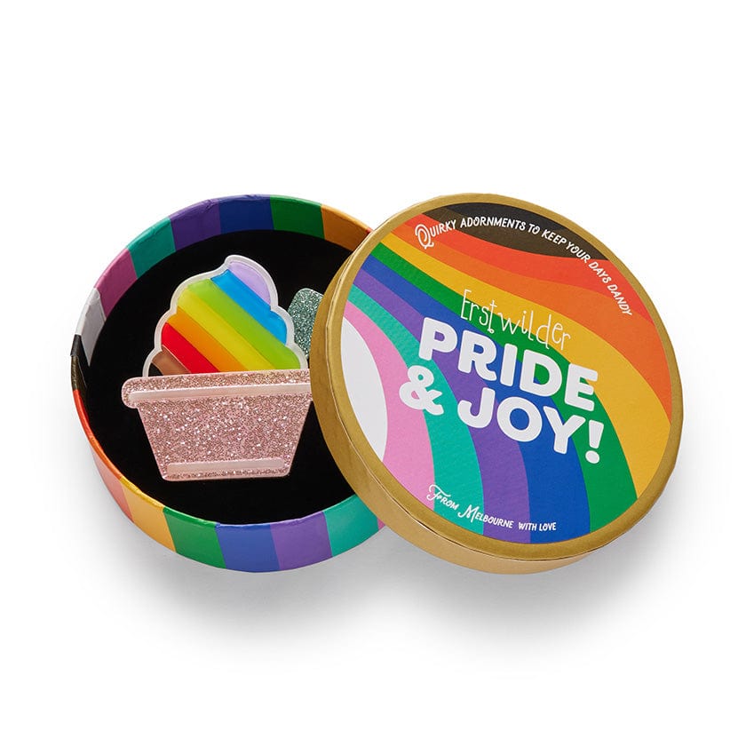 Erstwilder Pride & Joy Ice Cream Acceptance Brooch AD1BH04
