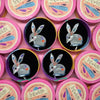 The Bashful Bilby Brooch